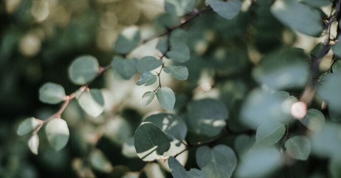 Frequency Specific Microcurrent